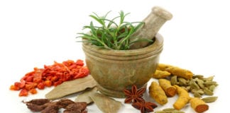 Ayurveda an Ancient Healing Art