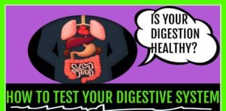 How to Test your Digestive System! Is Your Digestion Healthy?