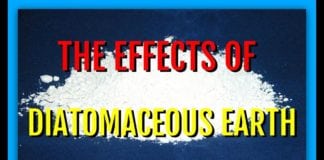 The Effects of Diatomaceous Earth-Should You Take It?