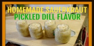 Homemade Fermented Cabbage – Sauerkraut-Pickled Dill Flavor-Fermented Foods