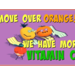 10 Foods High in Vitamin C That is More Than An Orange (2018)