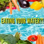 Top Foods with High Water Content
