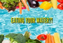 Top Foods with High Water Content