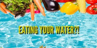 Top Foods with High Water Content