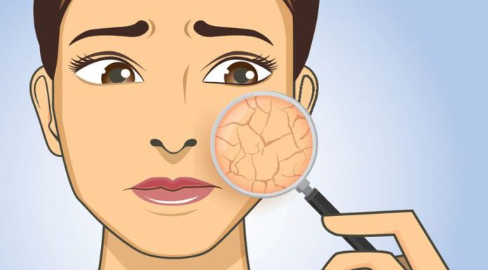 Top Foods for Healthy Skin and Anti-Aging